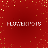 FLOWER POTS