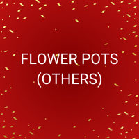 FLOWER POTS (OTHER)
